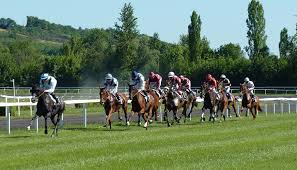 horse race claiming