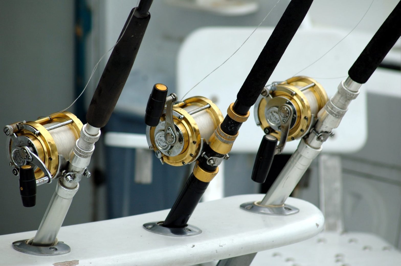 Fishing Gear List Absolute Beginners Guide For Fishing Equipments