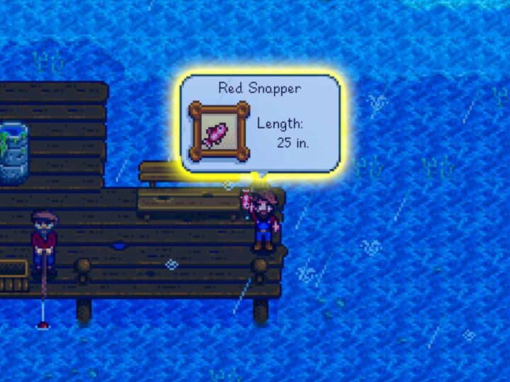 Red Snapper Stardew Valley Guide