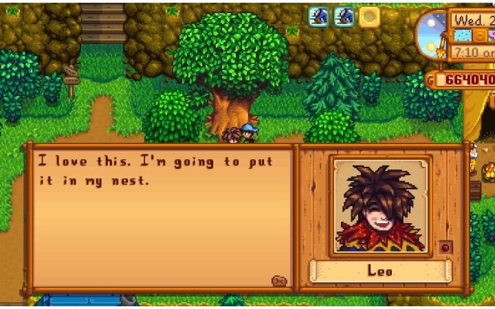 Where To Find Stardew Valley Leo?