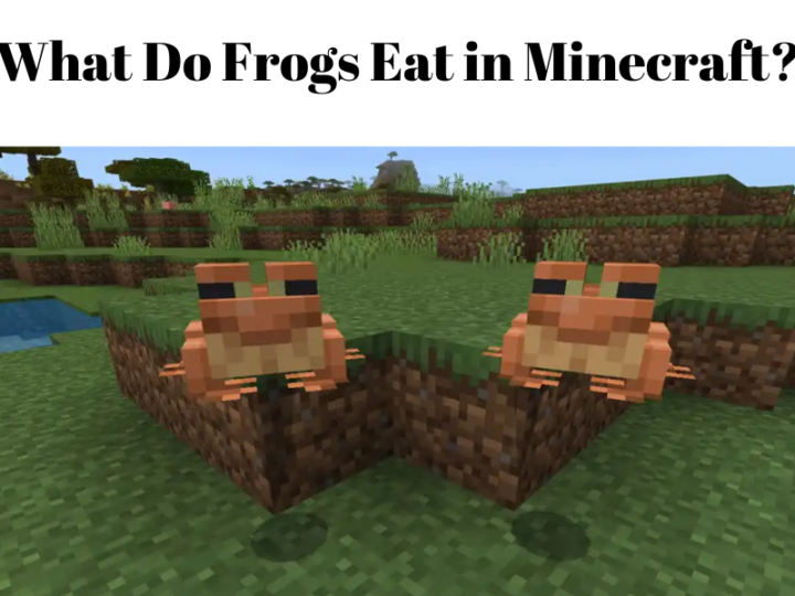 What Do Frogs Eat in Minecraft?