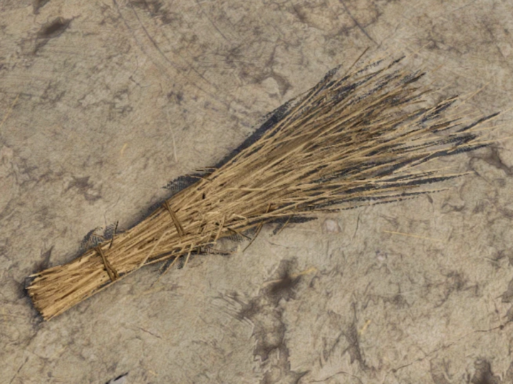 Know all About Medieval Dynasty Straw